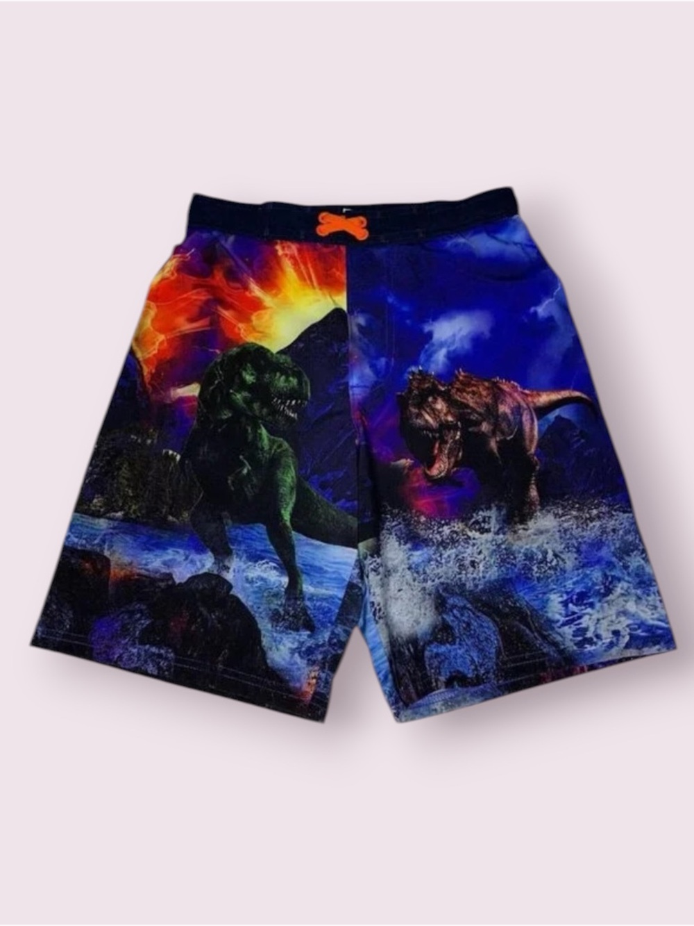 Wonder Nation Dinosaur Swim Trunks